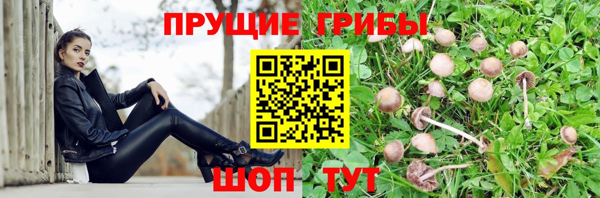Галлюциногенные грибы мухоморы  Вход с VPN  Алексеевка 